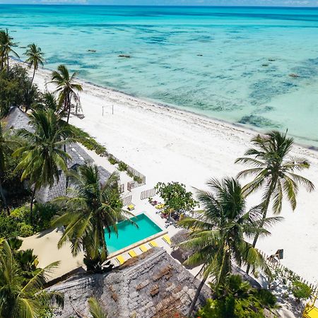 Pili Pili Palm Beach Джамбиани Экстерьер фото